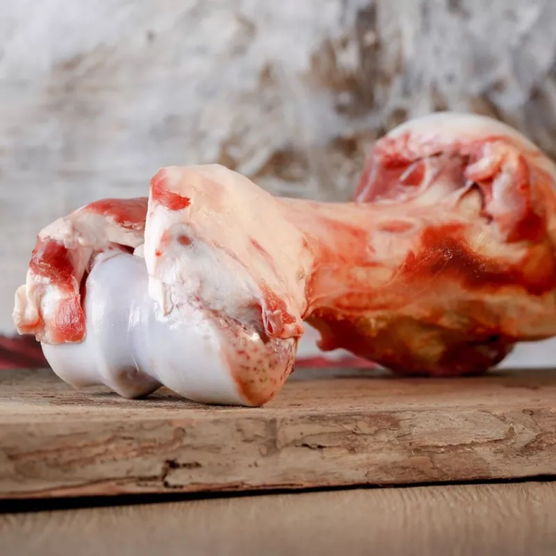 Kalbsknochen 1Stück